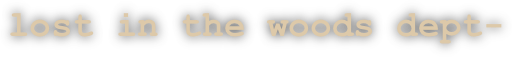 lost in the woods dept-